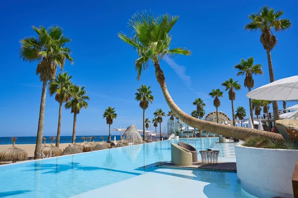 Vacations resort med pool och palmer — Stockfoto