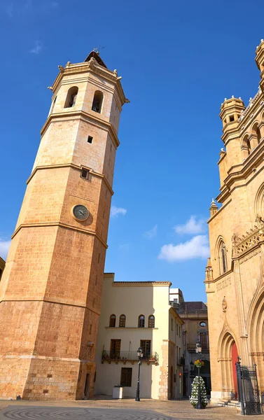 Готичний собор Castellon Ель Fadri дзвіницею башта — стокове фото