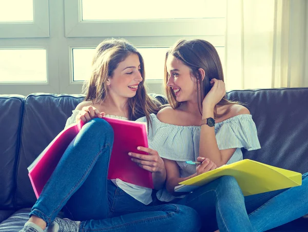 Mejor amigo niñas estudiando la tarea en casa —  Fotos de Stock