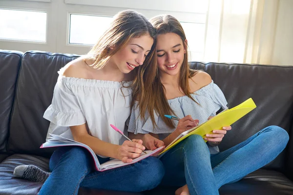 Best friend girls studying homework at home — Stock Photo, Image