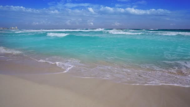 청록색 아쿠아 물으로 카리브해에 — 비디오