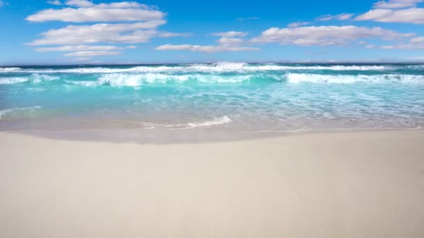 Τροπική Παραλία Στην Καραϊβική Θάλασσα Τιρκουάζ Νερά Aqua — Αρχείο Βίντεο