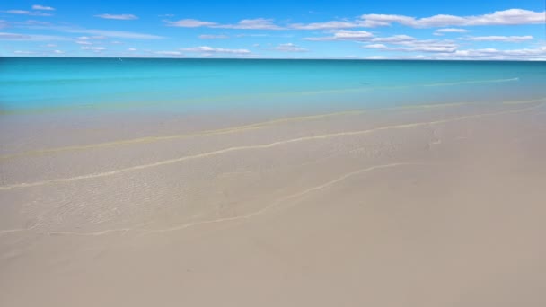 Tropisch Strand Caribische Zee Met Turquoise Aqua Water — Stockvideo