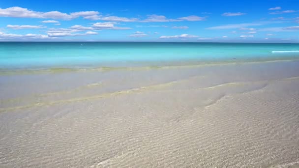 Tropická Pláž Karibském Moři Tyrkysovou Vodou Aqua — Stock video