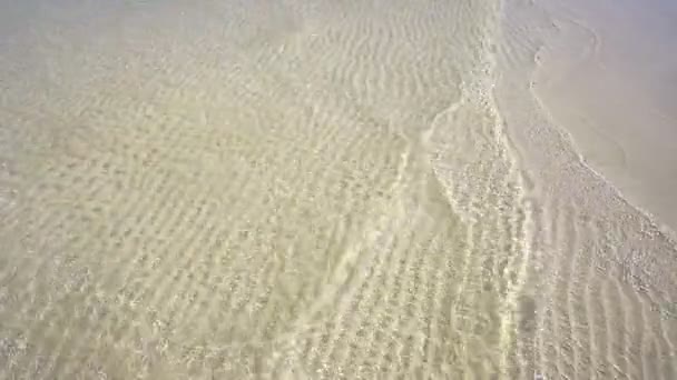 Caribbean White Sand Shore Transparent Waves Reflection Shallow Clean Water — Stock Video