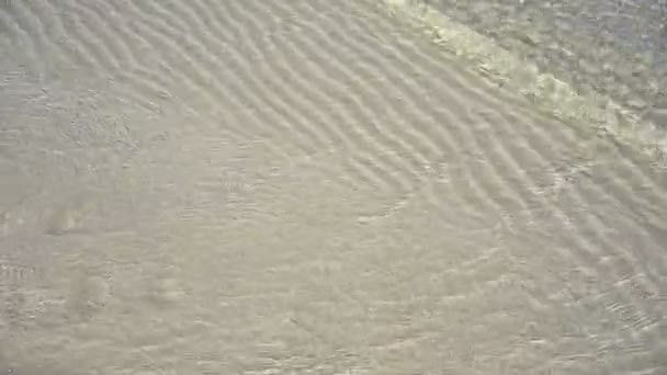 Des Caraïbes côte de sable blanc transparent waves reflet dans l’eau peu profonde