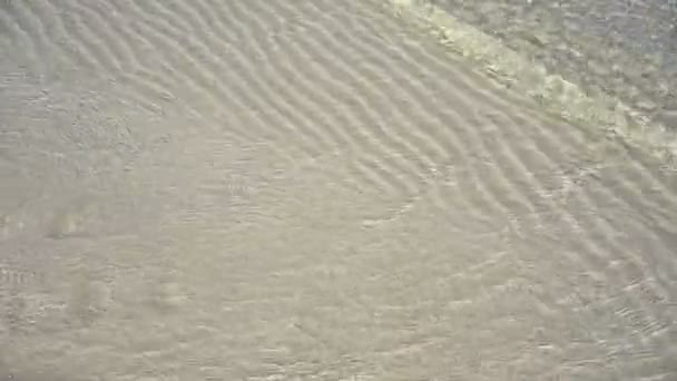 Caribbean White Sand Shore Transparent Waves Reflection Shallow Clean Water — Stock Video