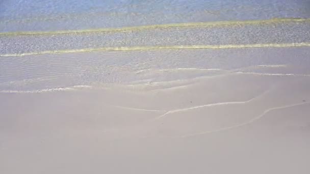 Mar Areia Branca Caribe Ondas Transparentes Reflexão Águas Limpas Rasas — Vídeo de Stock