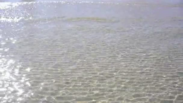 Karibik Weißen Sand Küste Transparenten Wellen Reflexion Seichtem Sauberem Wasser — Stockvideo