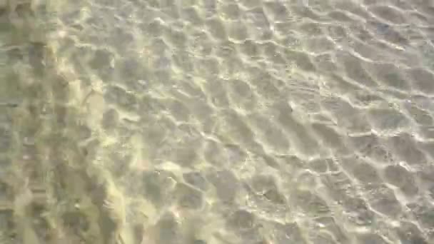 Caribbean White Sand Shore Transparent Waves Reflection Shallow Clean Water — Stock Video