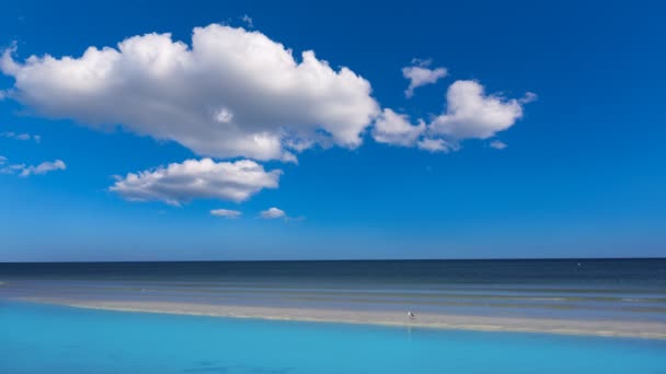 Plage Tropicale Dans Mer Des Caraïbes Avec Eau Turquoise Aqua — Video