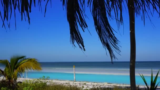 Playa Isla Holbox Mar Caribe México — Vídeos de Stock