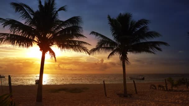 Morze Karaibskie Meksyku Riviera Maya Palmami Plaży Sunrise — Wideo stockowe