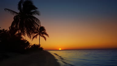 Holbox Island günbatımı palmiye ağacı beach Karayip Denizi, Meksika