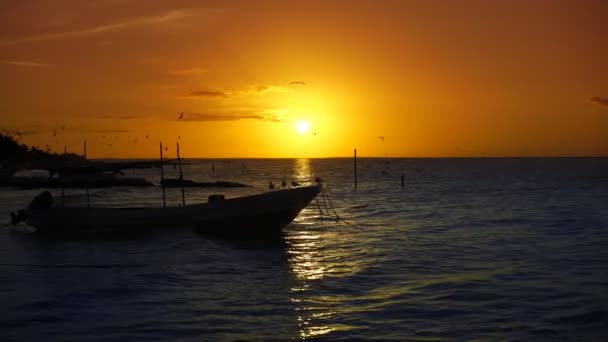 Holbox Isola Tramonto Spiaggia Messico Mare Dei Caraibi — Video Stock