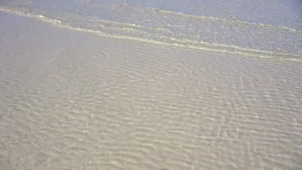 透明カリブの白い砂の海岸の浅いきれいな水の反射を波します — ストック動画