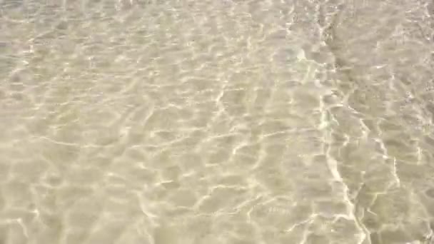 Caribbean White Sand Shore Transparent Waves Reflection Shallow Clean Water — Stock Video