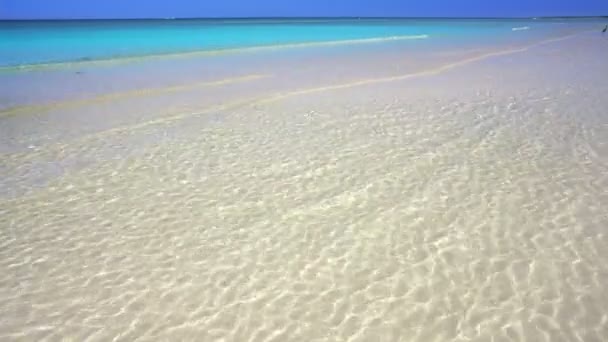 Tropisk Strand Karibiska Havet Turkost Aqua Vatten — Stockvideo