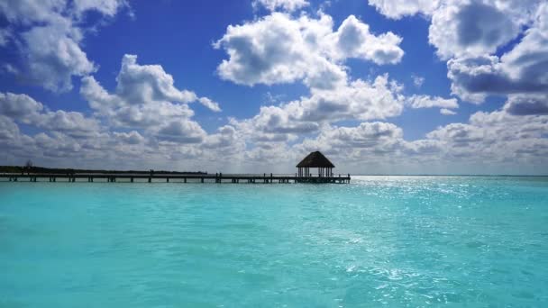 Holbox Ilha Praia México Mar Das Caraíbas Riviera Maia — Vídeo de Stock