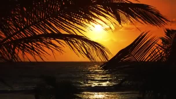 Mayan Riviera Caribbean Sea Sunrise Beach Mexico — Stock Video