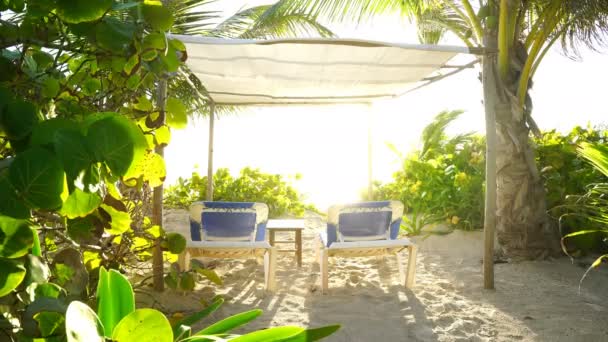 Cocotiers Dans Les Caraïbes Plage Riviera Maya Mexique — Video