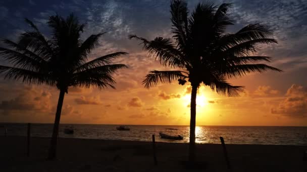 Riviera Maya palmiers plage lever du soleil dans la mer des Caraïbes du Mexique 