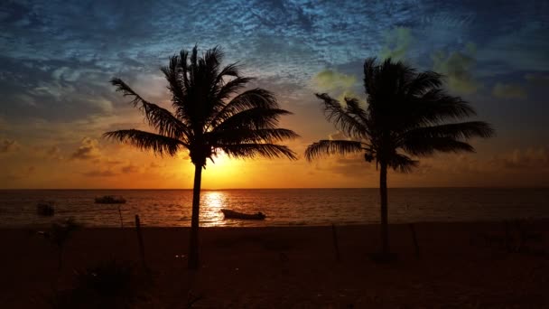 Riviera Maya Palmiers Plage Lever Soleil Dans Mer Des Caraïbes — Video