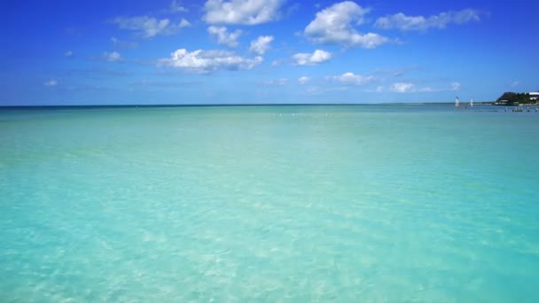 Holbox Island Beach Στην Καραϊβική Θάλασσα Του Μεξικού — Αρχείο Βίντεο