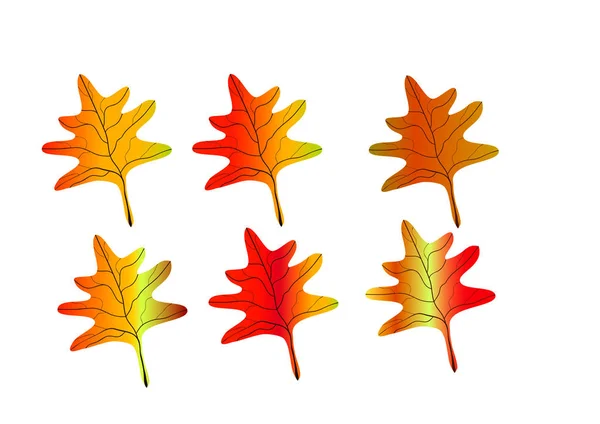 Lindas folhas de outono — Vetor de Stock