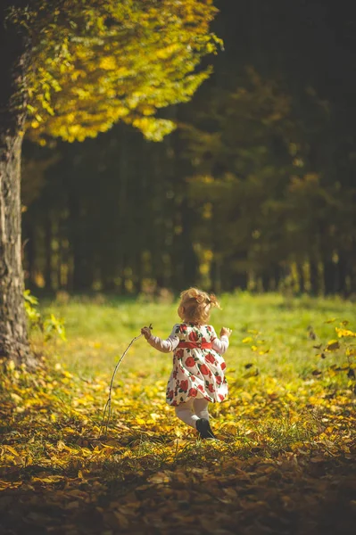 Caminar en otoño parque niña —  Fotos de Stock