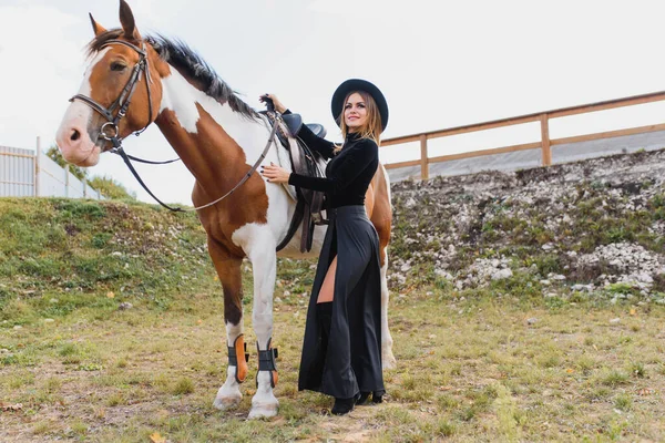 Retrato Moda Una Hermosa Joven Caballo —  Fotos de Stock