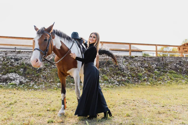 Retrato Moda Uma Bela Jovem Cavalo — Fotografia de Stock