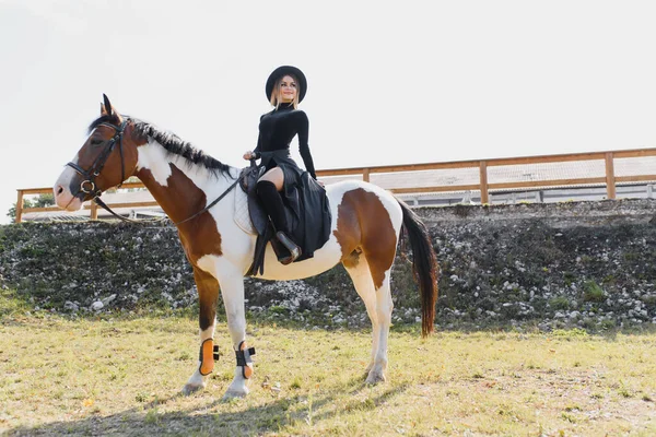 Modieus Portret Van Een Mooie Jonge Vrouw Paard — Stockfoto