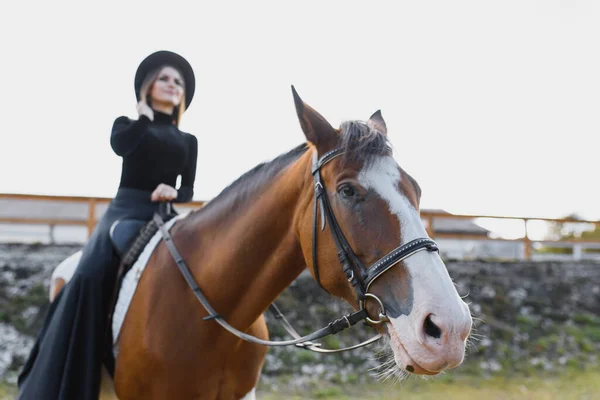 Jovem Fisioterapeuta Cuidando Cavalo Marrom Mulher Fazendo Tratamento Ombro Crista — Fotografia de Stock