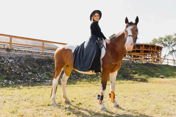 Retrato Moda Una Hermosa Joven Caballo —  Fotos de Stock