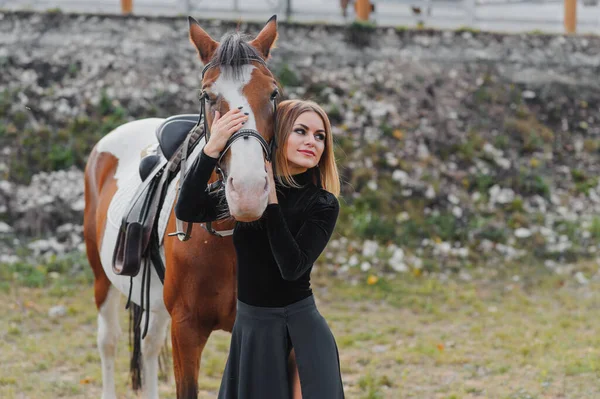 Retrato Moda Una Hermosa Joven Caballo —  Fotos de Stock