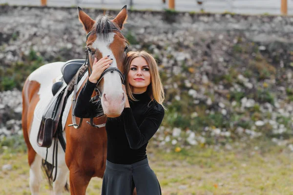 Jonge Vrouw Fysiotherapeut Zorgt Voor Een Bruin Paard Vrouw Die — Stockfoto