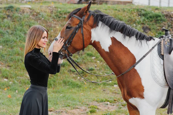 Modieus Portret Van Een Mooie Jonge Vrouw Paard — Stockfoto