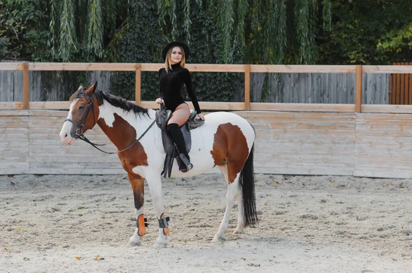 Mulher Glamour Bonita Com Cavalo — Fotografia de Stock