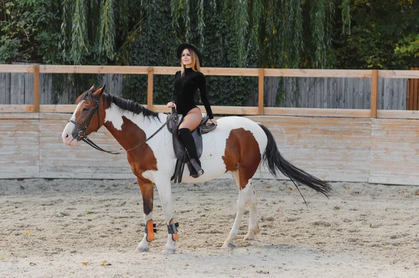 Retrato Moda Una Hermosa Joven Caballo — Foto de Stock