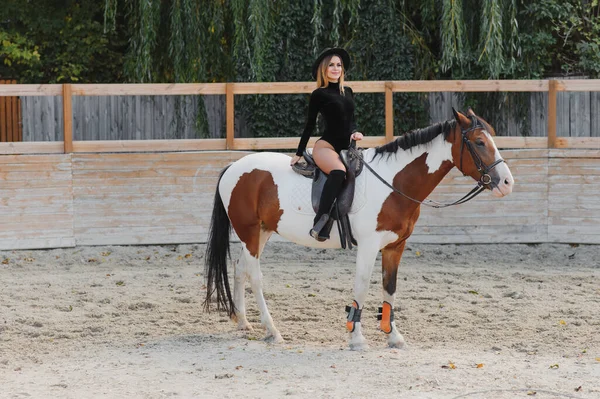 Jovem Mulher Sexy Com Cavalo — Fotografia de Stock