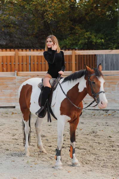 一个年轻貌美的女人和马的时髦画像 — 图库照片