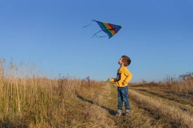 Mutlu çocuk yaz günü, gün batımında çayırda koşarken uçurtmayla oynuyor. Aileyle eğlenceli zamanlar. Küçük çocuk uçurtma fırlatıyor..