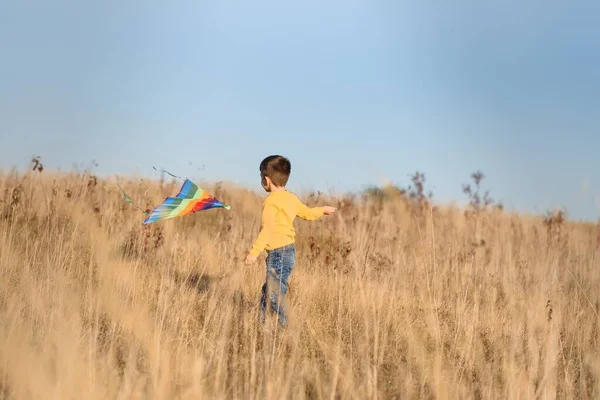 Мальчик Воздушным Змеем Над Головой — стоковое фото