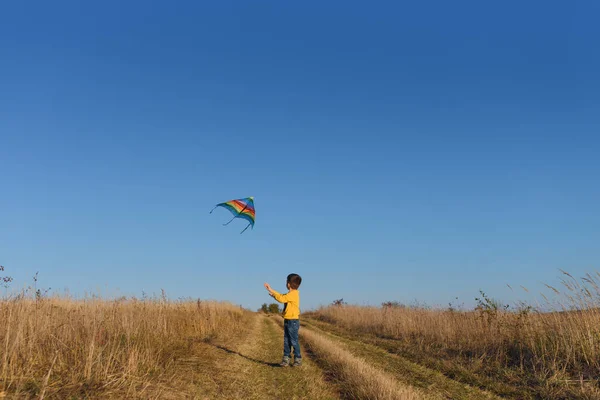 Niño Con Cometa Volando Sobre Cabeza —  Fotos de Stock