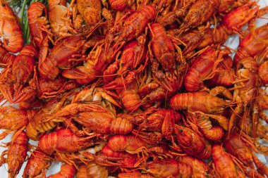 Demir bir tabakta kaynatılmış kerevit. Menü için kırmızı kerevit arkaplanı. Üst manzara, yakın çekim. Bir tabak pişmiş kerevit. Haşlanmış kerevit, geleneksel bir Rus yemeği. Klasik fotoğraf işleme