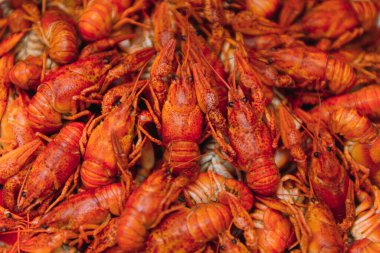 Demir bir tabakta kaynatılmış kerevit. Menü için kırmızı kerevit arkaplanı. Üst manzara, yakın çekim. Bir tabak pişmiş kerevit. Haşlanmış kerevit, geleneksel bir Rus yemeği. Klasik fotoğraf işleme