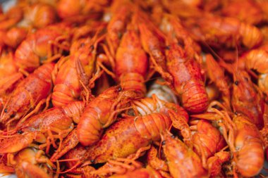 Demir bir tabakta kaynatılmış kerevit. Menü için kırmızı kerevit arkaplanı. Üst manzara, yakın çekim. Bir tabak pişmiş kerevit. Haşlanmış kerevit, geleneksel bir Rus yemeği. Klasik fotoğraf işleme