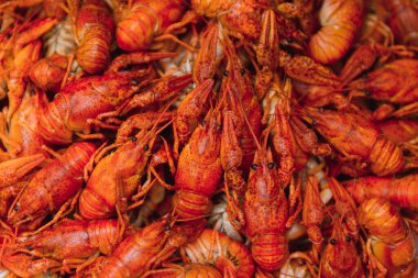 Demir bir tabakta kaynatılmış kerevit. Menü için kırmızı kerevit arkaplanı. Üst manzara, yakın çekim. Bir tabak pişmiş kerevit. Haşlanmış kerevit, geleneksel bir Rus yemeği. Klasik fotoğraf işleme