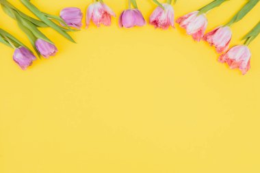 Sarı arka planda yaz laleleri